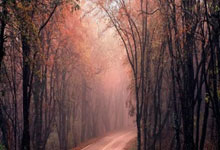 在意大利U21进球，S-埃斯波西托：重返国米很困难，目前只是梦想.