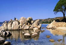 奇异果体育官网：安东尼：德比展示了皇家贝蒂斯的意义，感谢球迷成为第12人.